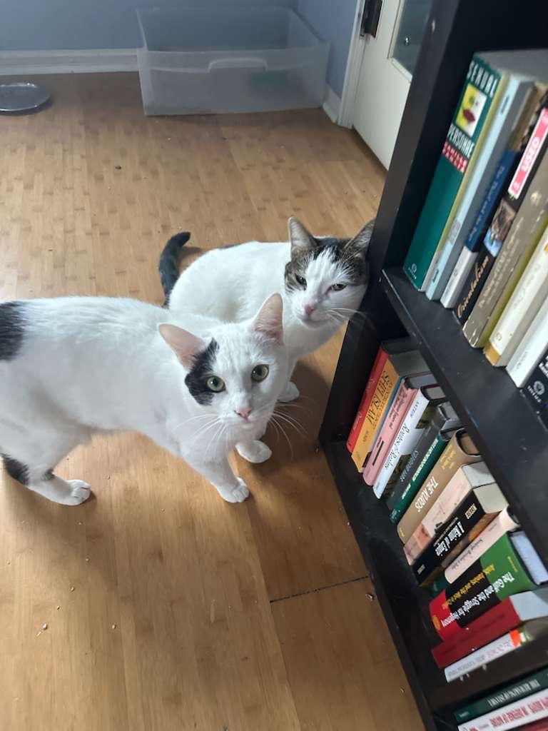 Mona and Rosa by the bookshelf