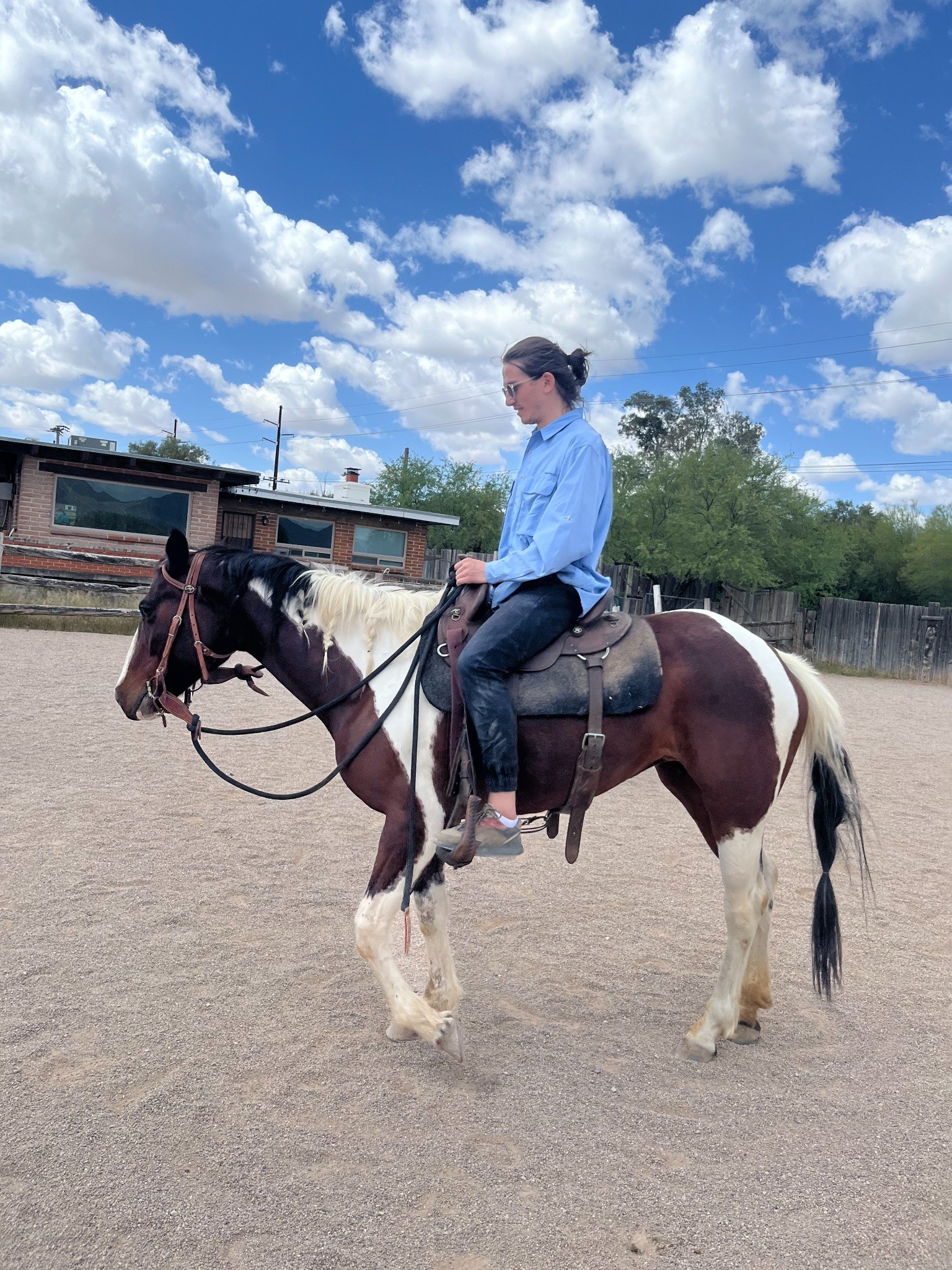 Horse riding in Arizona