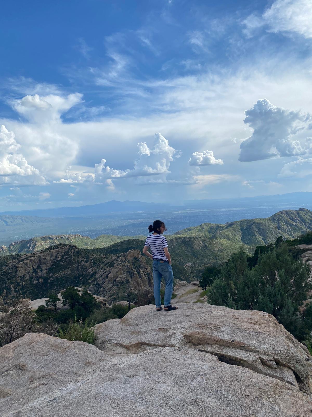 My first time at the top of Mt. Lemmon